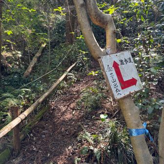 こちらに下りてきました😊