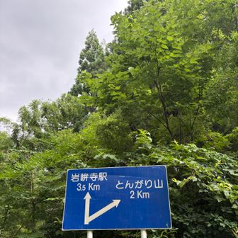 『とんがり』山でよかったのね