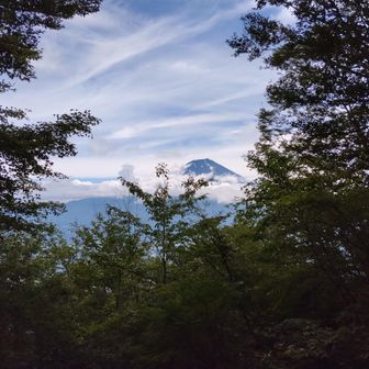 天子ヶ岳展望所からの富士山