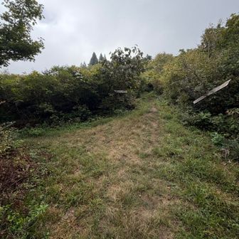 左から直登ルートが合流。直進し山頂へ。