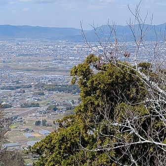 気持ちがいいわね。
広々です。
私達の１人じめ山です😊
