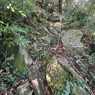 急登
新しいロープが取り付けられてました