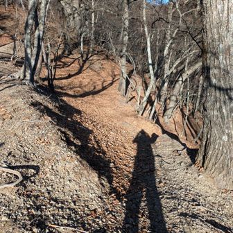 赤沢方面へ下っていきます（自分の影が長い 笑）