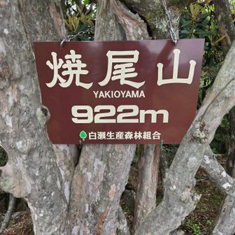 🙌
2度目です。