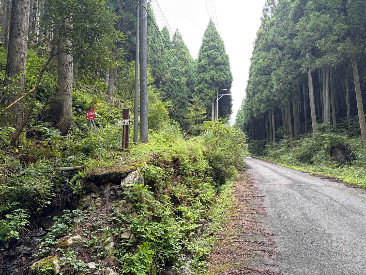 ゆっくりと、無事下山
これまでも「熊の住処におじゃましている」とは思ってきたが、実際に出会ってみると、なんというか「本当に熊がいるんだ」ということをありありと実感できた。経験、というのはとても大切なことである。ありがとう。