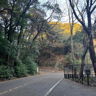 運良く七曲峠の駐車場🅿️が空いていました