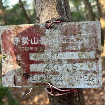 三角点峰なのにプレートが少ないと探したら
落ち葉に埋まって有りました

伊勢山岳会踏査標
10周年記念山行　南島山脈縦走
P　
４０１，８
５０・１２・１４　NO24


