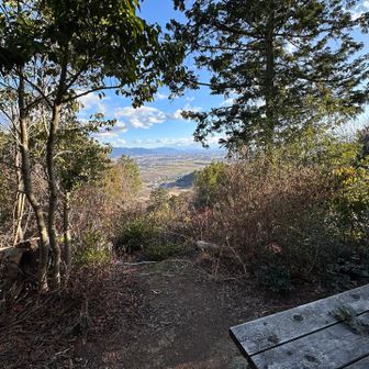 日の出スポット
去年より、広く見えるようにしてくれてるような？😳