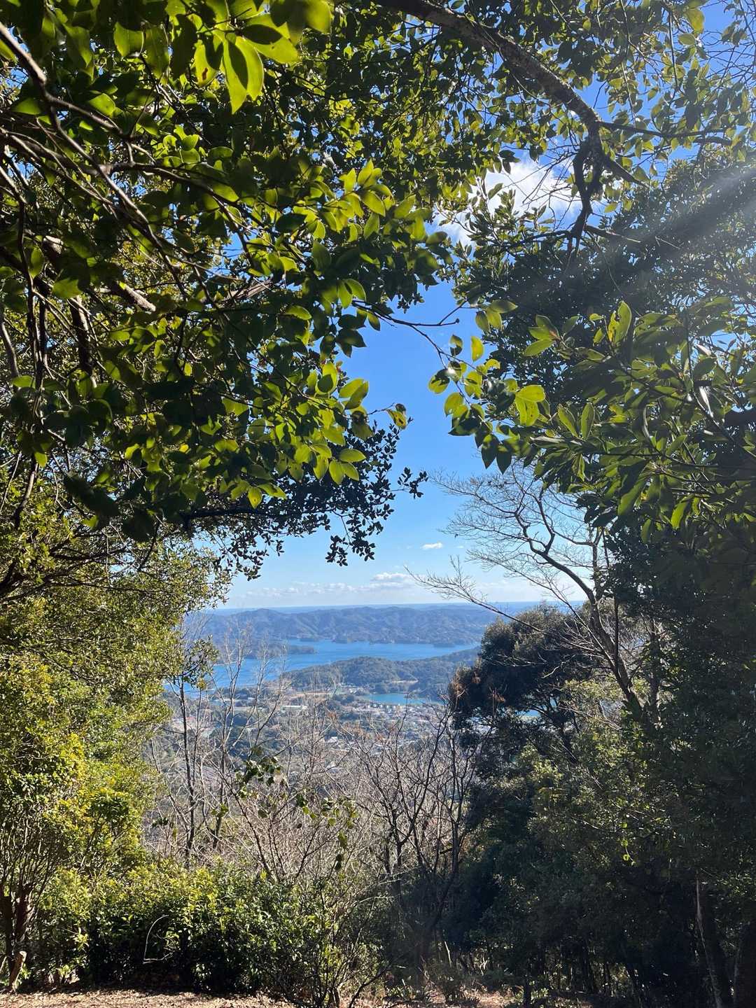 ここは椿山に向かう途中の展望所
うーん🧐樹々が生い茂って見えにくいのが残念