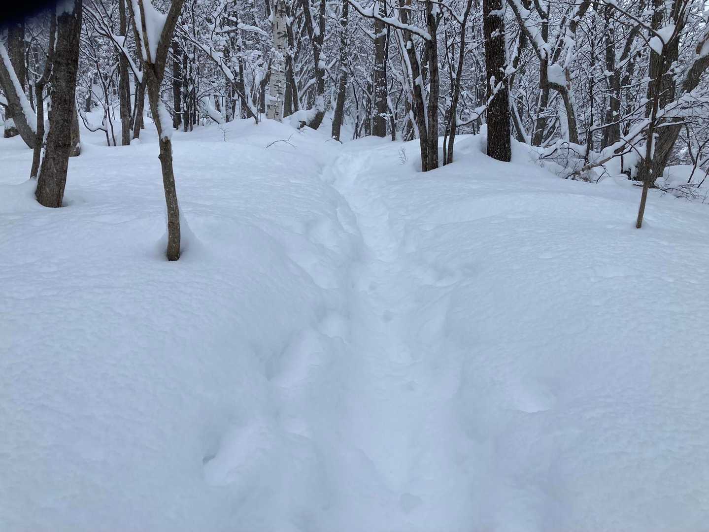 　　　　午後は登っている人は居ないみたい。
　　　　足跡が雪で埋まってしまってる。