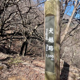 犬越路峠1,060Mに到着‼️　▶️4h55min。
(いぬこえじとうげ)
《📖言い伝え》
武田信玄が、小田原城を攻めたときに、犬を先頭にしてココを超えたと。