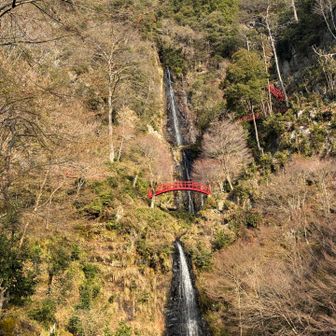 近くにこんな素敵な所があるなんて知らなかった😅