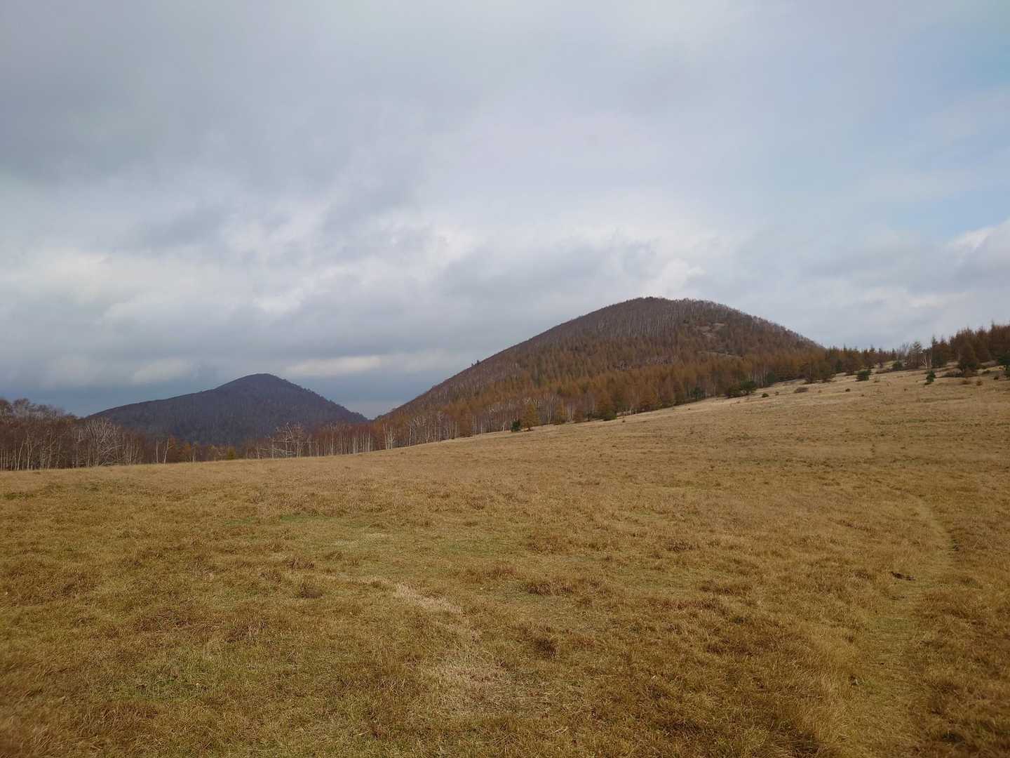 安家森と遠別岳