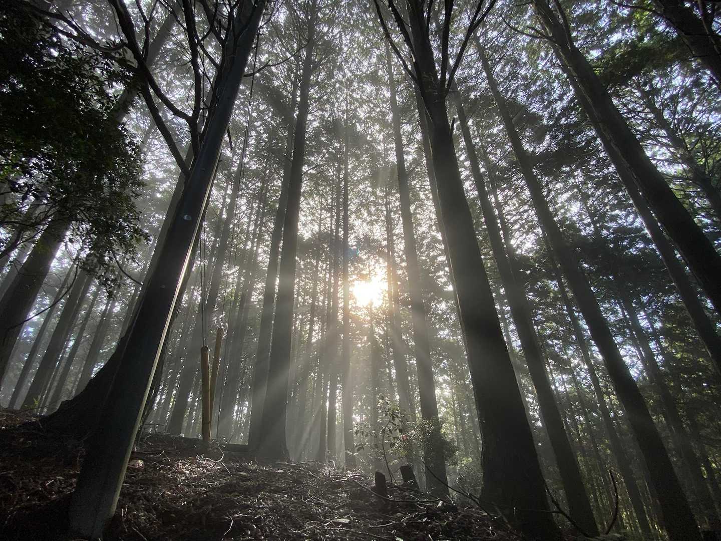 山頂手前✨✨