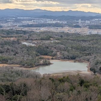 水が少なくなった福島大池
その向こうはフラワータウン。