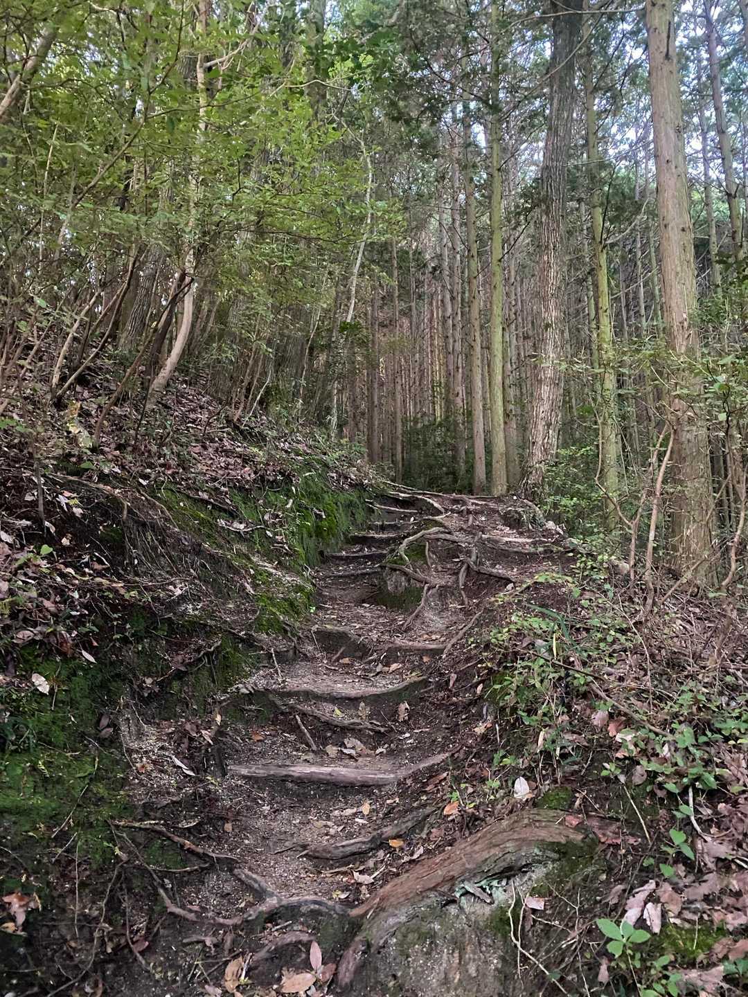 めっちゃキツい所は無いけど、それなりの所は何ヶ所かあります🤪
本日18km弱ですがそれなりです😆