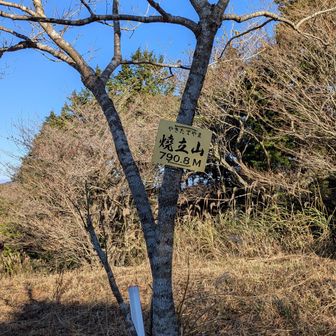 登り切るとまた次の登りが登場😭