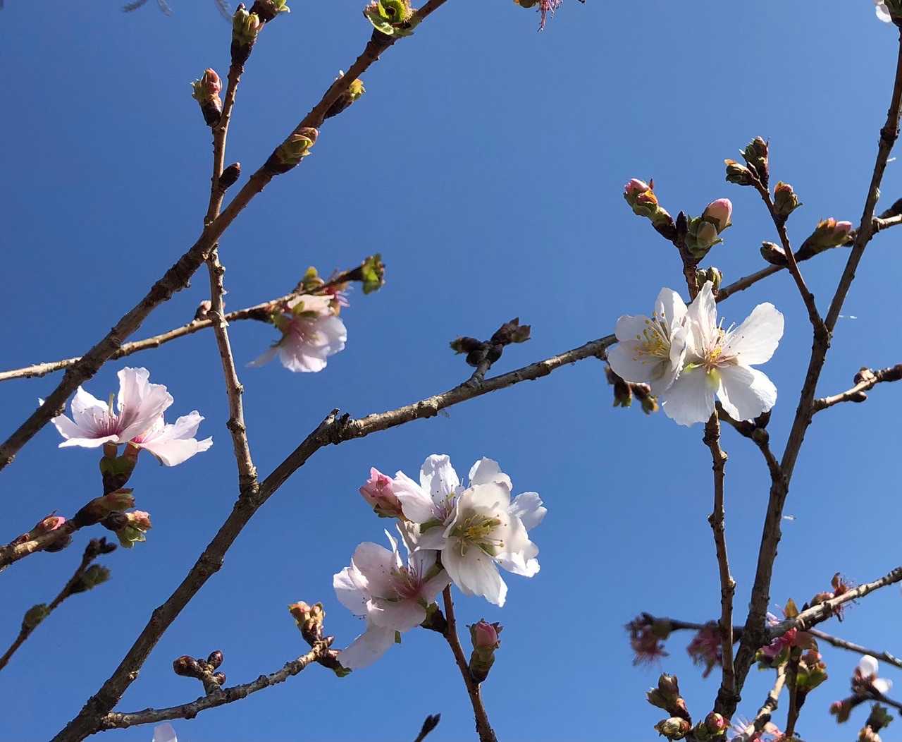 ここは、リピ確定です👍
季節で色んな花が咲くのでまた来まーす😉
最後までありがとうございました❣️