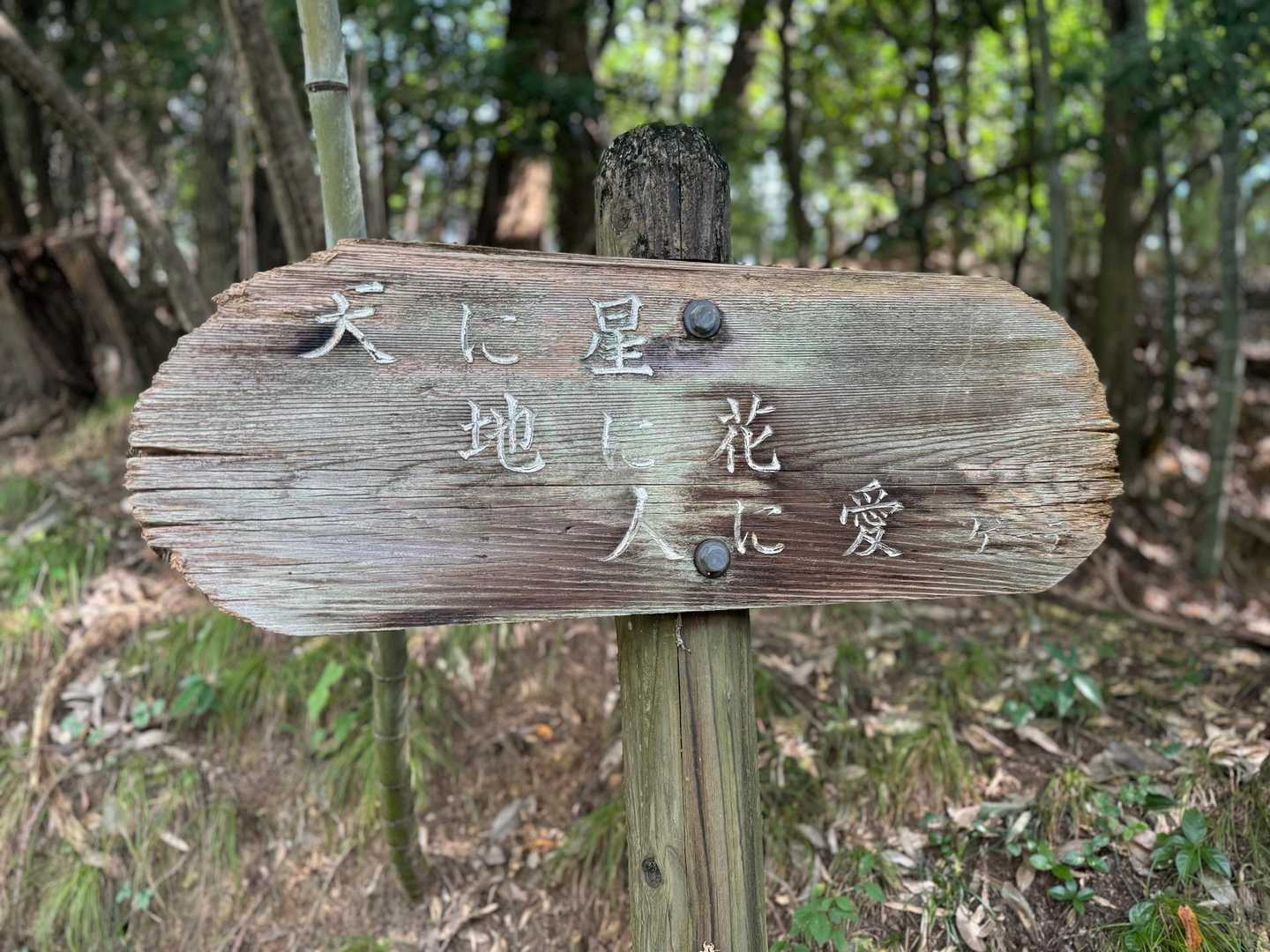 吾妻山入り口-吾妻山登山口-吾妻山-岩木戸山-大形山 往復コースの写真