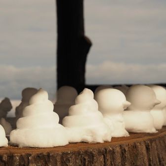                               💩？🍦？と🐤
