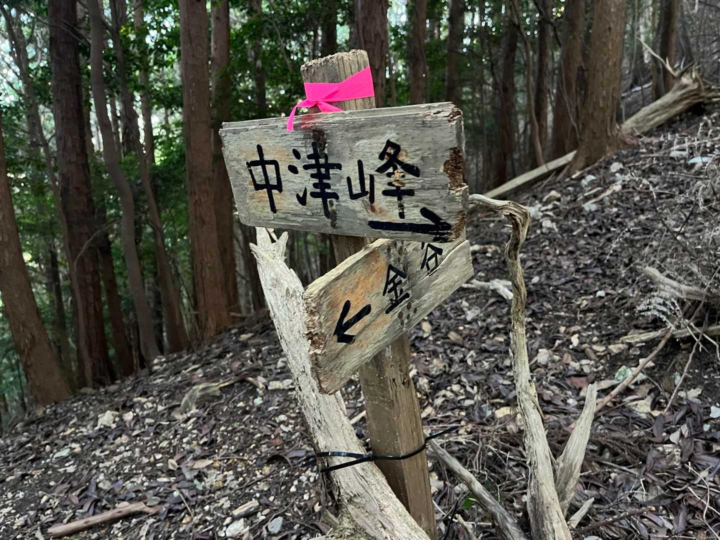 中津峰山-多家良山 周回コースの写真