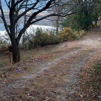 ここを左に曲がって黒田城跡、天狗山、妙見山を目指します