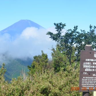 こっちも雲が邪魔してる