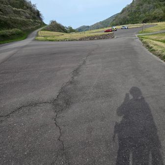 沢山のサンカヨウが見れてほんとに良かったです🤗雨上がりにまた来よう