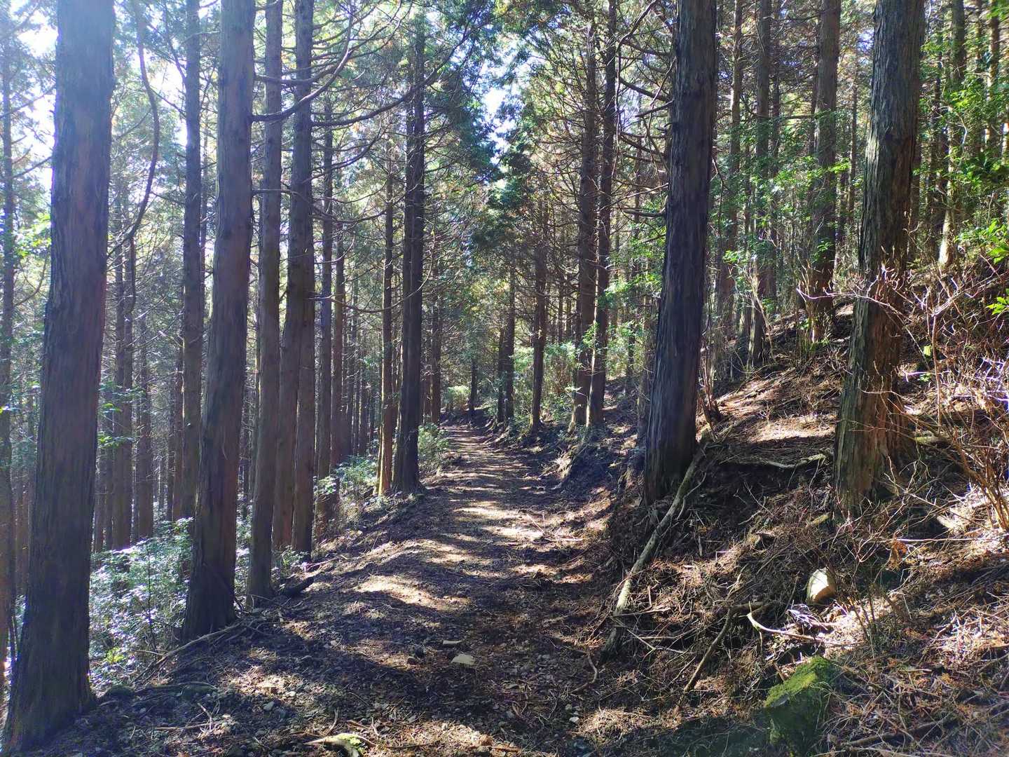 揺ヶ池コース登山口-俵山 周回コースの写真