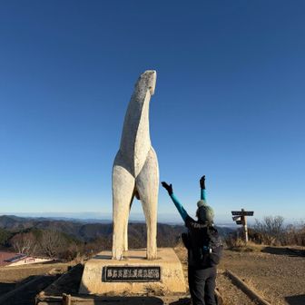 会いたかったよ〜
白いお馬さん♡