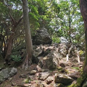 何とか山頂に到着したらしい。