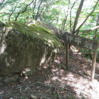 巨石　この辺りからバテてきた