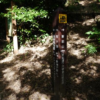 全山縦走路分岐(天狗道)