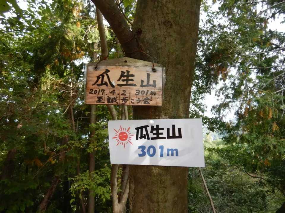 瓜生山の写真
