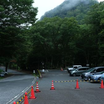 西丹沢ビジターセンター🚻

あれ？珍しい
今日は車少ないな
天気が…ですからね

皆さん夏休みの宿題作成に忙しいのかな😁

気温22℃