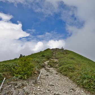 山頂までもう少し🐾
登山道には、数箇所ですが泥濘ありました⚠️