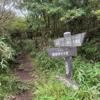 へー、神社あるのここ。