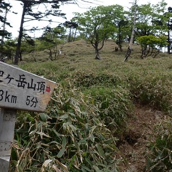 あとちょい。