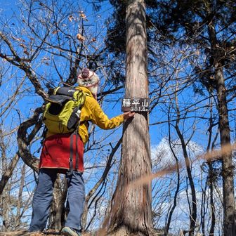両崖山・仙人ヶ岳・石尊山 ３分岐からの右手(北東)の301峰は
⛰️藤平山でした