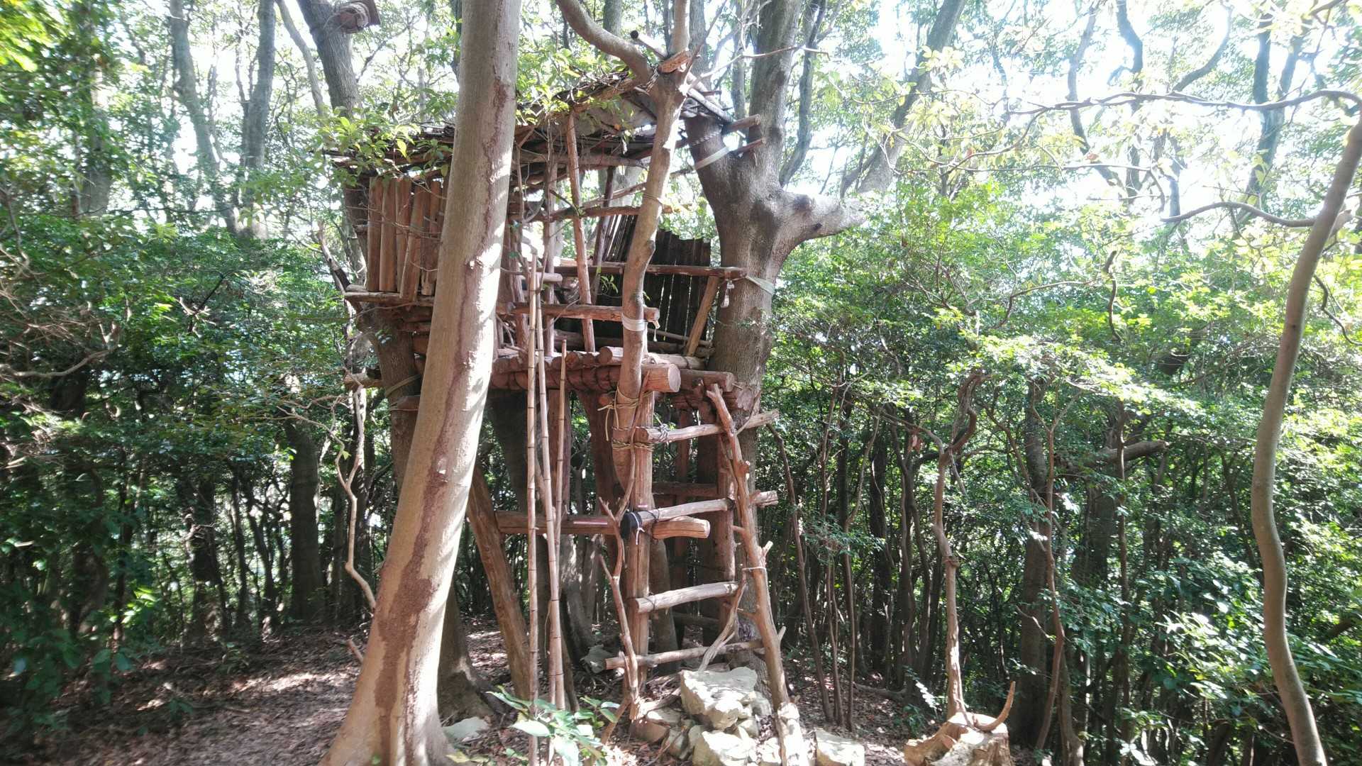 嶽山、初めて走らずに登ったかも