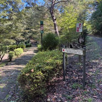右、陰平山分岐
