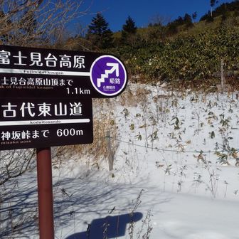 いよいよ高原歩きスタート