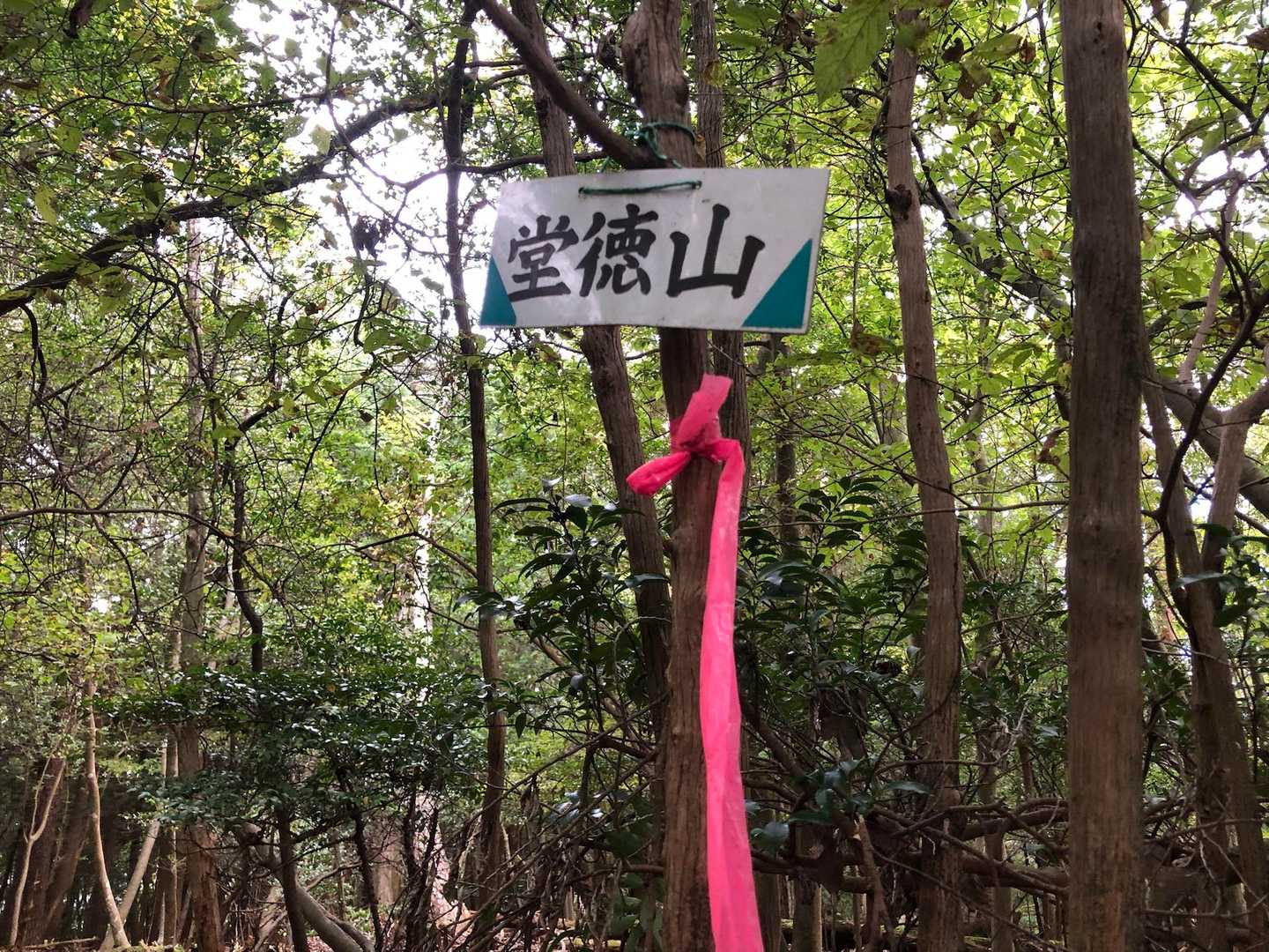 行きし、撮り忘れ