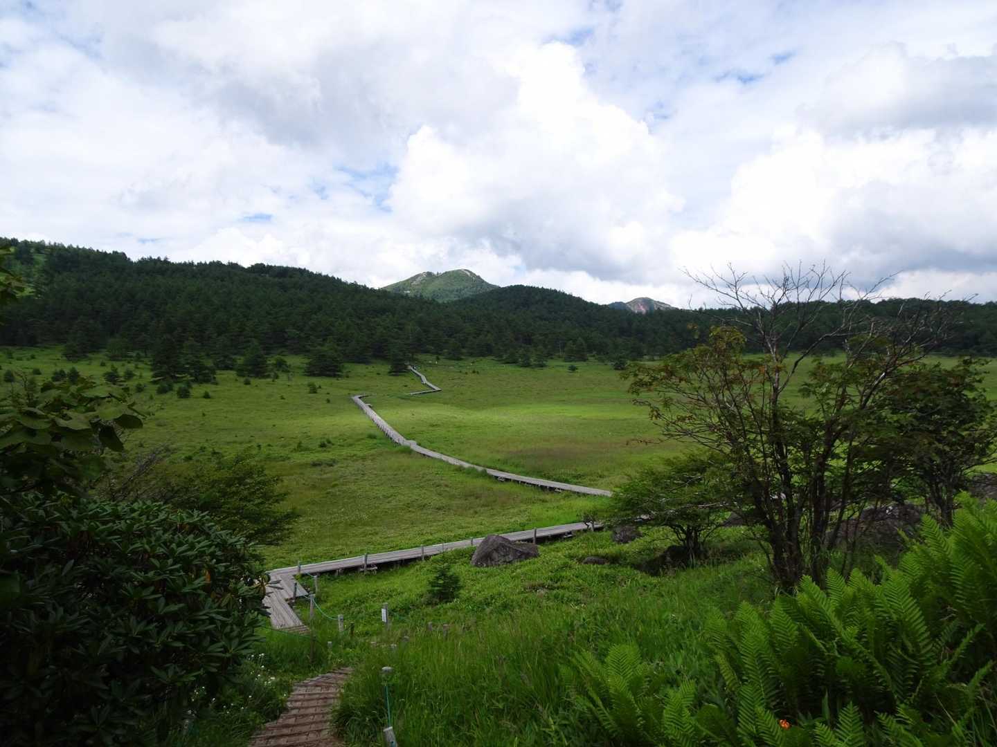 池の平湿原