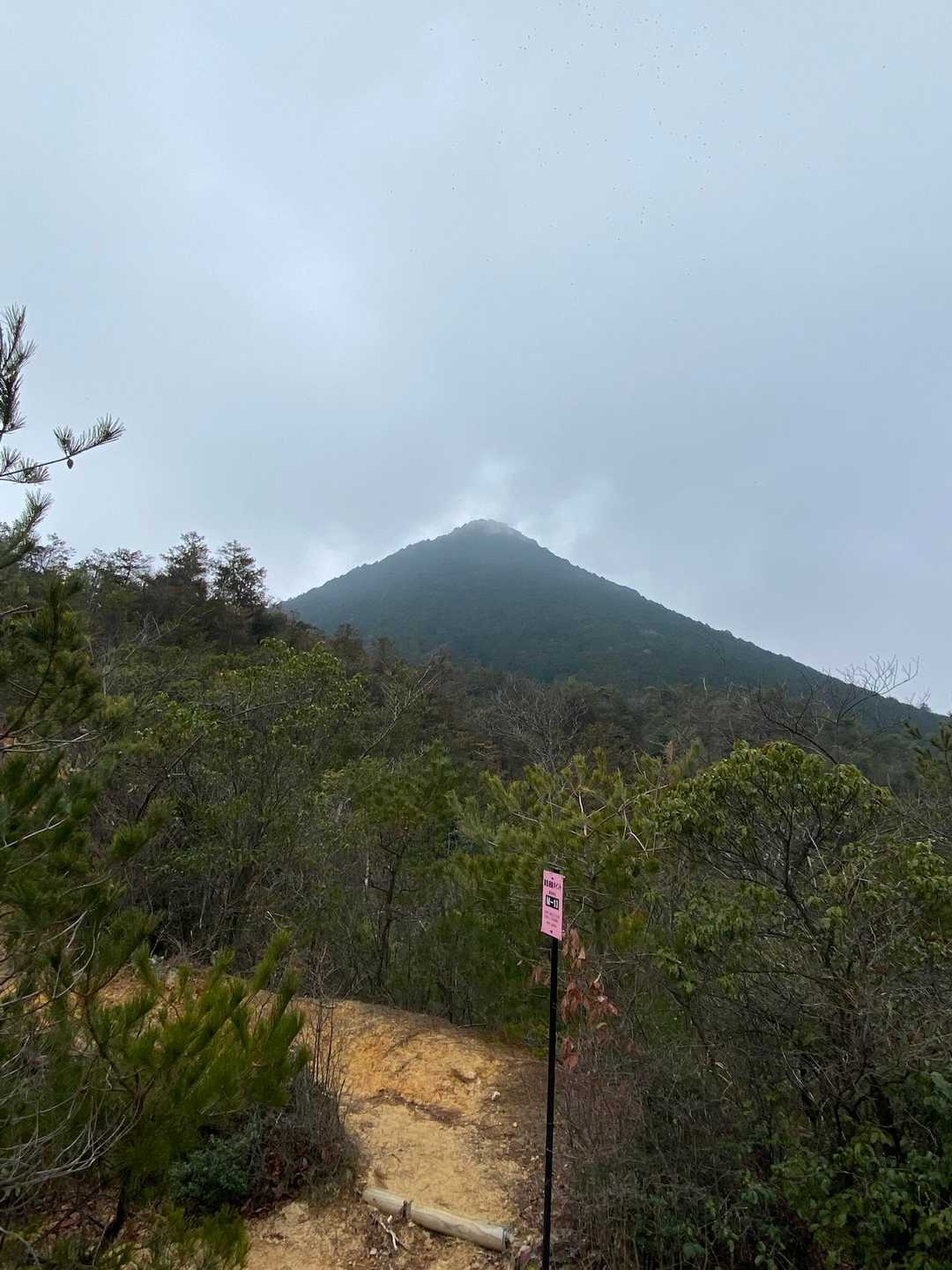 振り返ってみる三上山は、ほんとにキレイな形です。