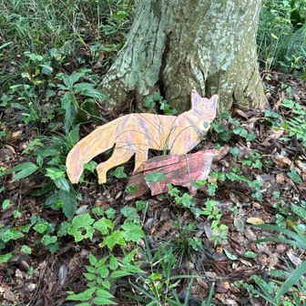 本日のピークは柏市内にあるグリーンピークのきつね山。
かつてはここに狐🦊が棲みついていたそうです。