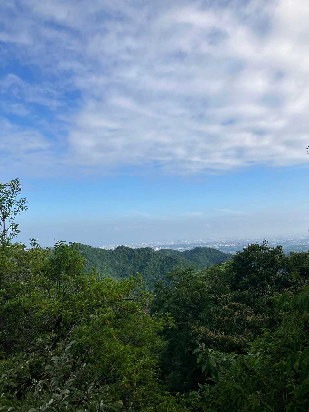 猿子城山-ボテ峠-施福寺-槇尾山バス停 周回コースの写真