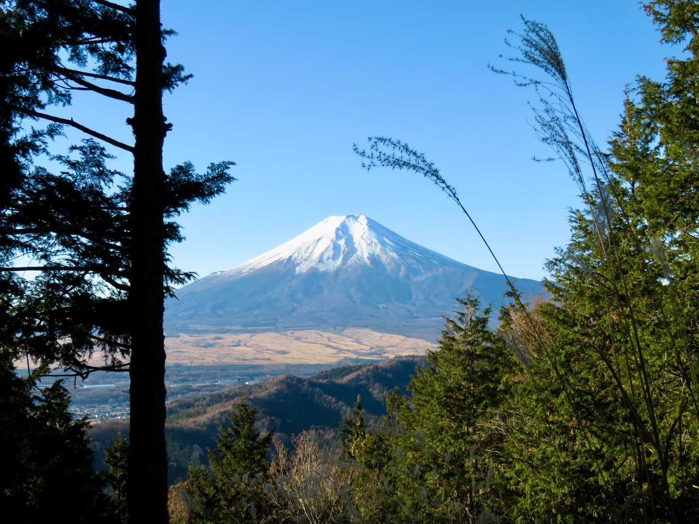 杓子山 | ポップな山名標識に吊るされた天空の鐘が響く頂。富士絶景の山梨百名山の写真