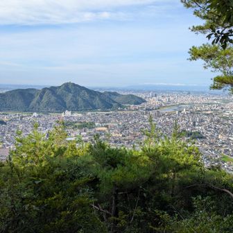 夜景綺麗だろうな