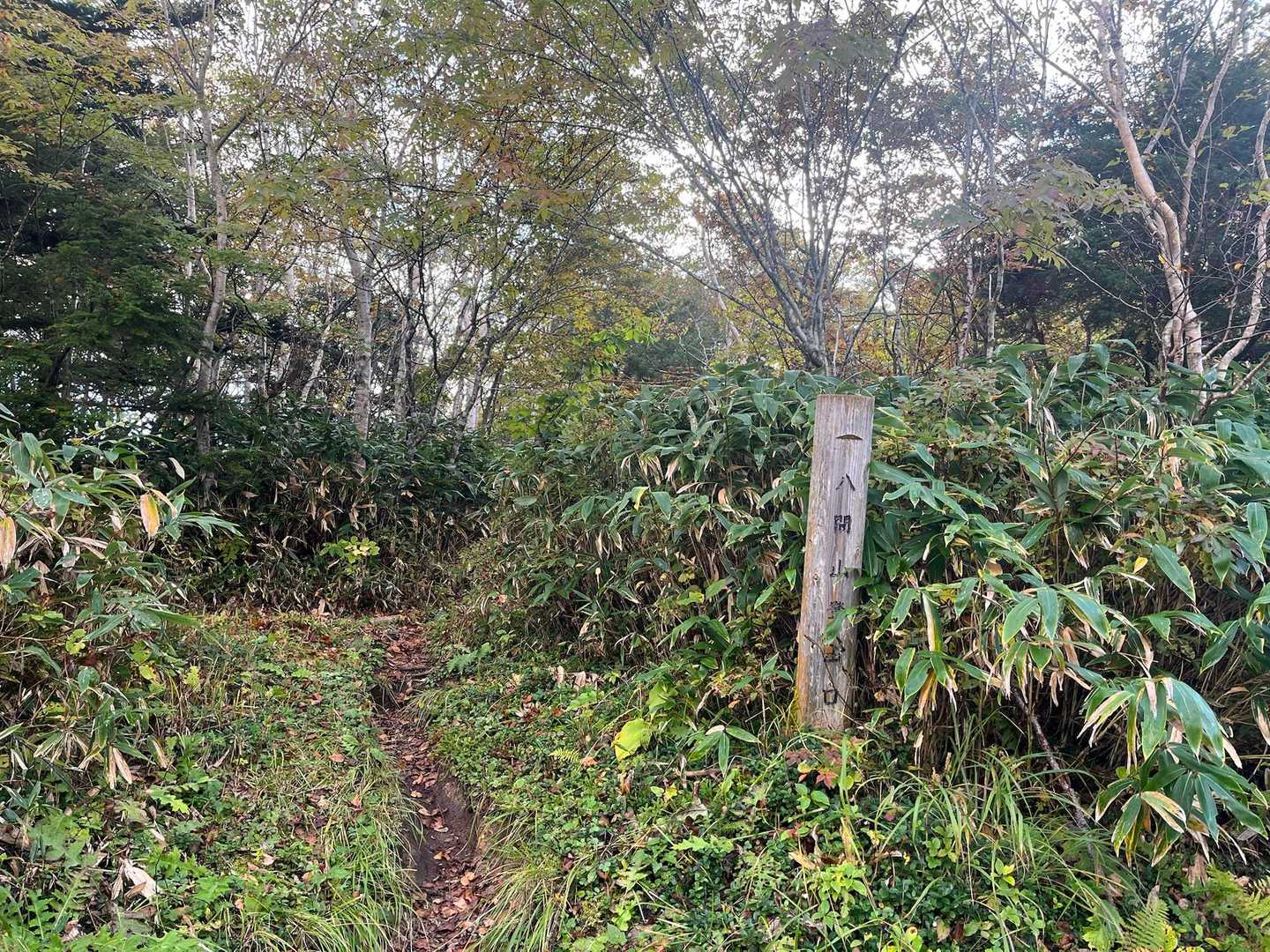 弁天山-エビ山-野反湖キャンプ場管理事務所-野反ダム-白砂 周回コースの写真